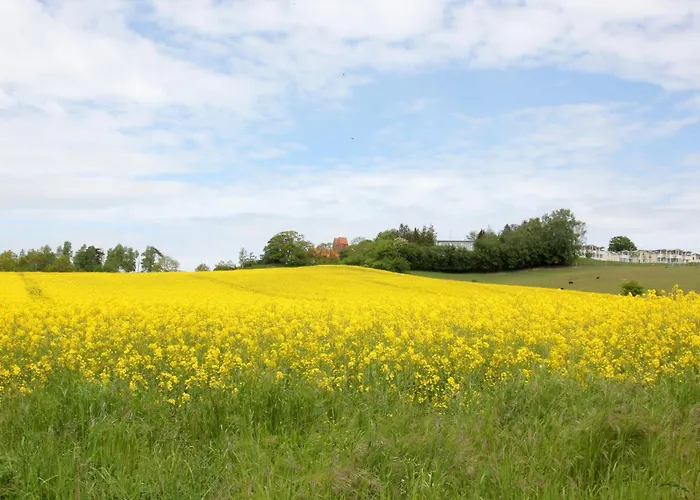 mit Meerblick und Balkon, gratis Nutzung vom AHOI Erlebnisbad und Sauna in Sellin - Meeresblick FeWo 14 Apartment Goehren (Ruegen)